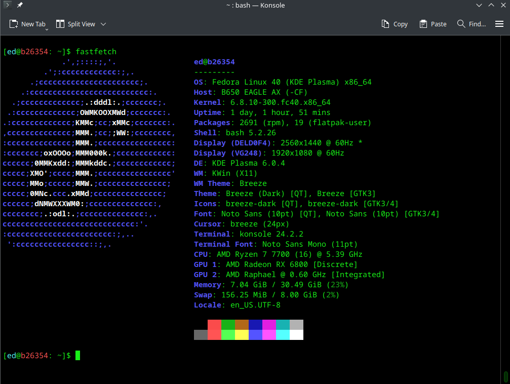 Fastfetch build